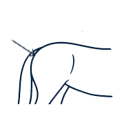 Icône Croupe