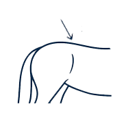 Icône Rein
