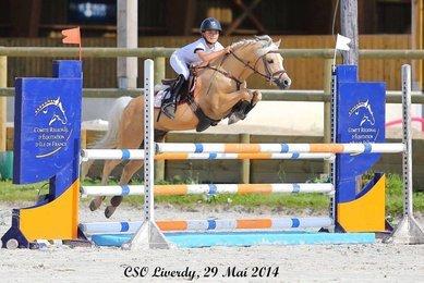 Welsh B en CSO - CC BY-SA 4.0 - Elevage de maika 