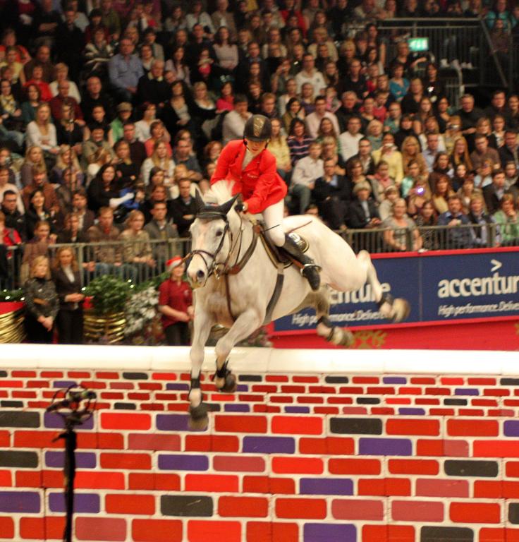 A grey Württemberger mare, Ladina B, competing in show jumping