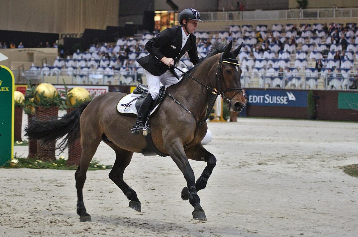 CHI Genève 2013 - 20131214 - Marcus Ehning et Noltes Küchengirl - Clément Bucco-Lechat 