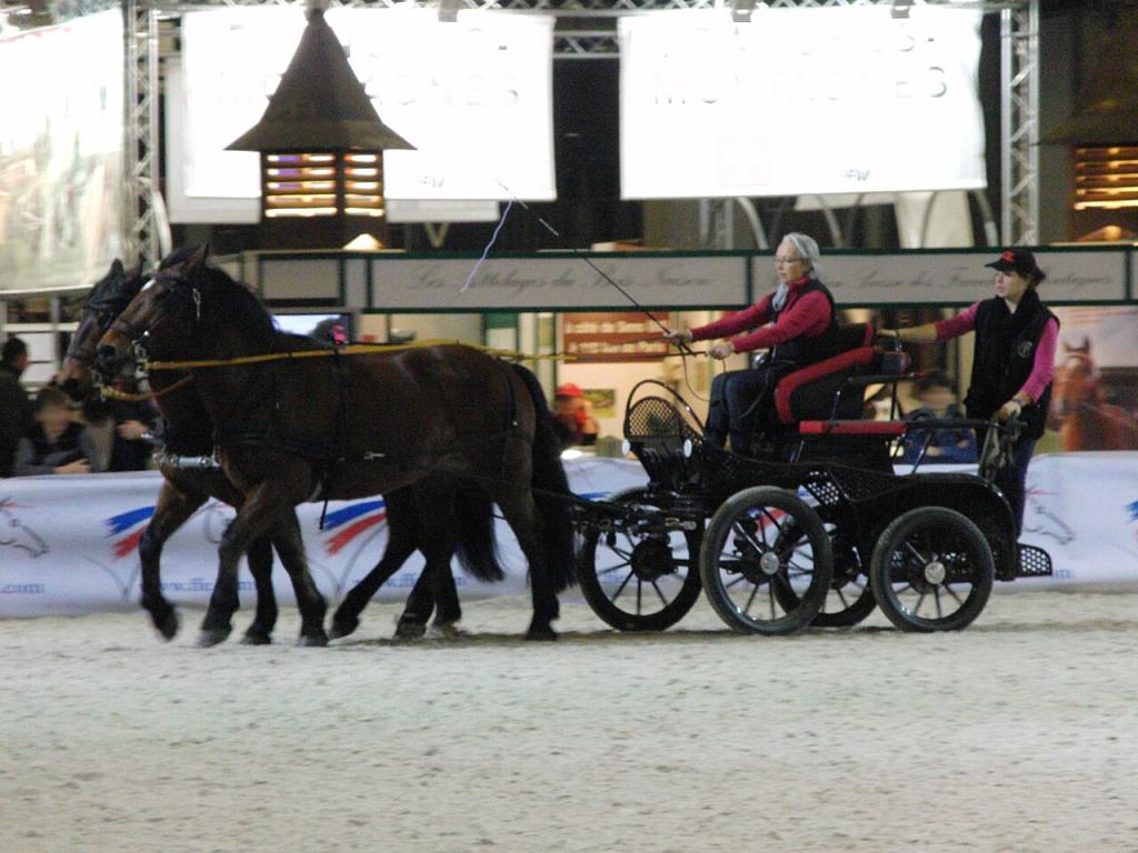 Attelage de chevaux castillonnais au Salon du cheval de Paris 2011. - Photo : Eponimm