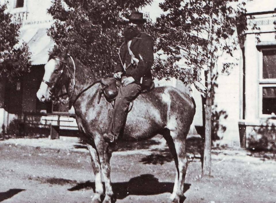 Cheval du Cap au début du XXe siècle, avant 1914 