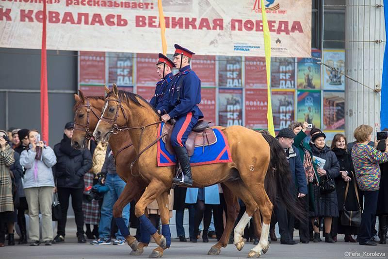 Chevaux du Don de la police montée russe. -  CC BY-SA 4.0 - Fefa Koroleva