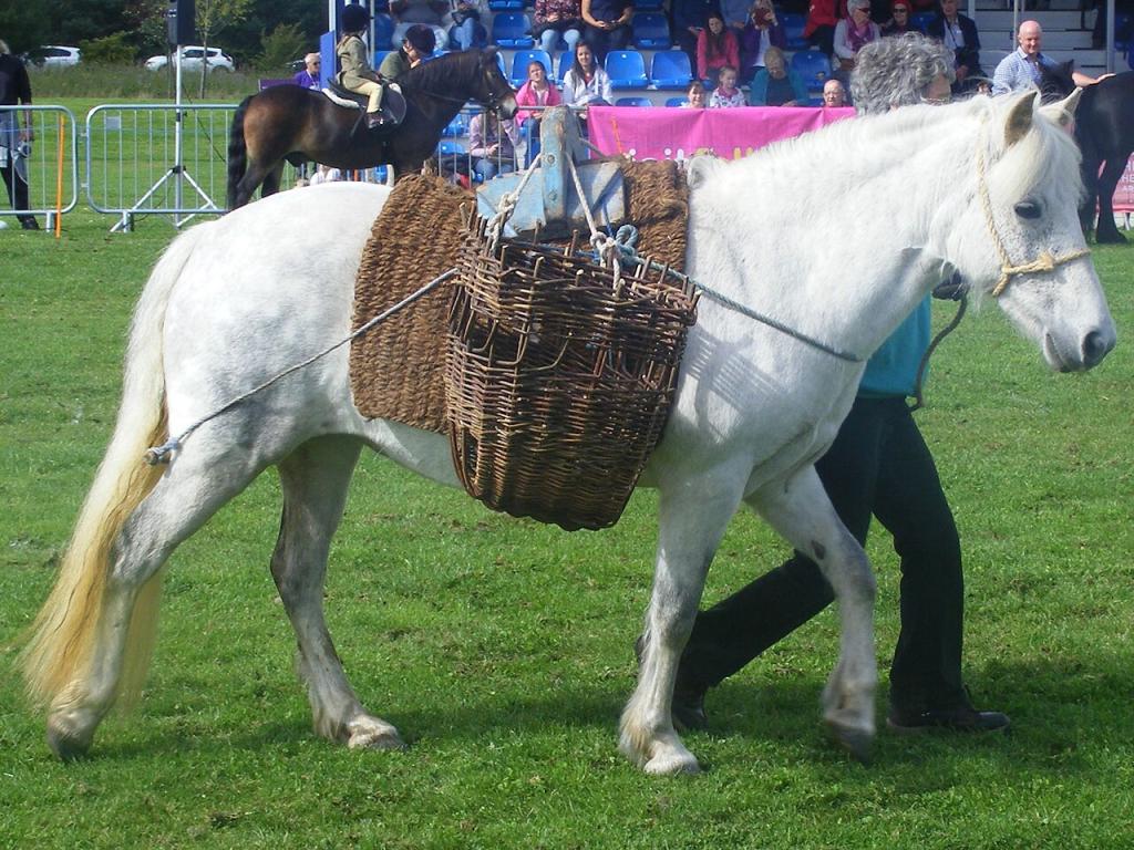Système de bât par paniers traditionnel du poney Eriskay. - CC BY-SA 4.0 - Photo : West!islandman