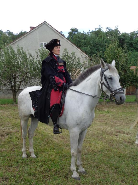 Reconstitution d'unité de cavalerie croate du XVIe siècle, avec un Gidran gris. - CC BY-SA 4.0 - Photo : Silverije 