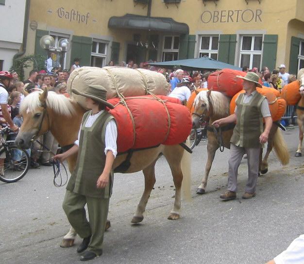 Haflingers employés comme chevaux de bât pendant une reconstitution médiévale à Ravensbourg, en Allemagne. - Photo: Andreas Praefcke