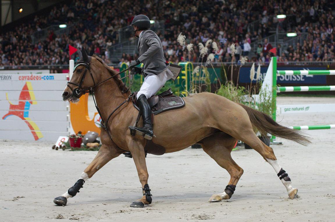 Henrik von Eckermann et le Hanovrien Gotha FRH en compétition de saut d'obstacles. - CC BY-SA 3.0 - Clément Bucco-Lechat