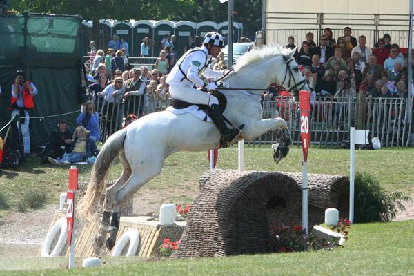 Hinrich Romeike sur Holsteiner Marius en 2007 ; le couple a remporté la médaille d'or en concours complet aux Jeux olympiques de Pékin en 2008
