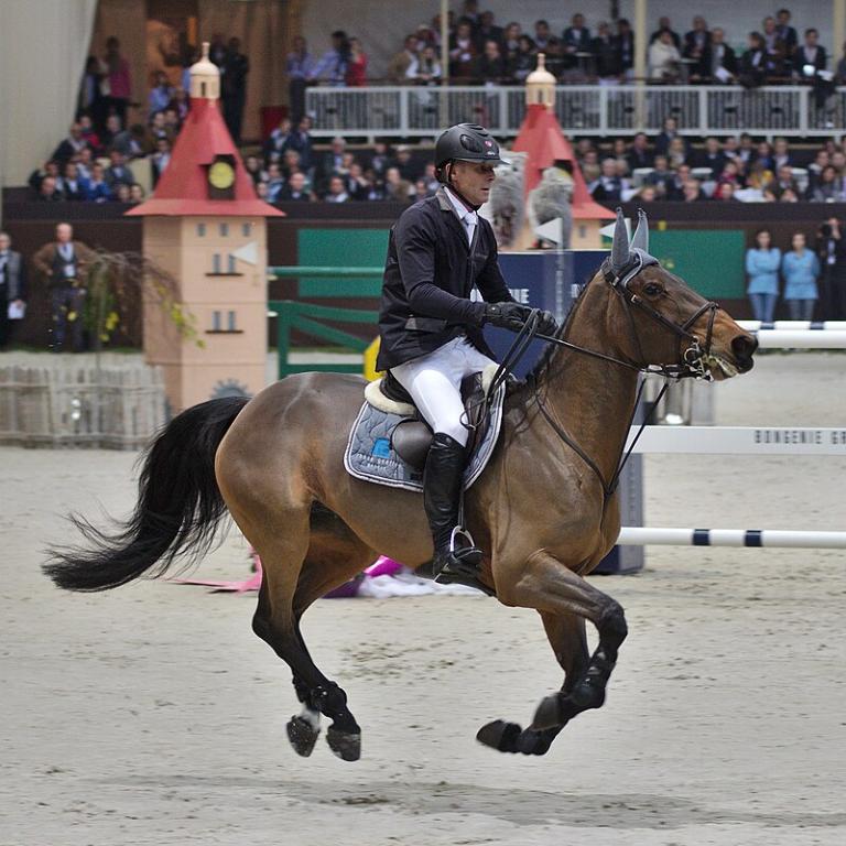 Paul Estermann et Castlefield Eclipse, jument ISH Irish Sport Horse -  CC BY-SA 3.0 - Photo : Clément Bucco-Lechat 