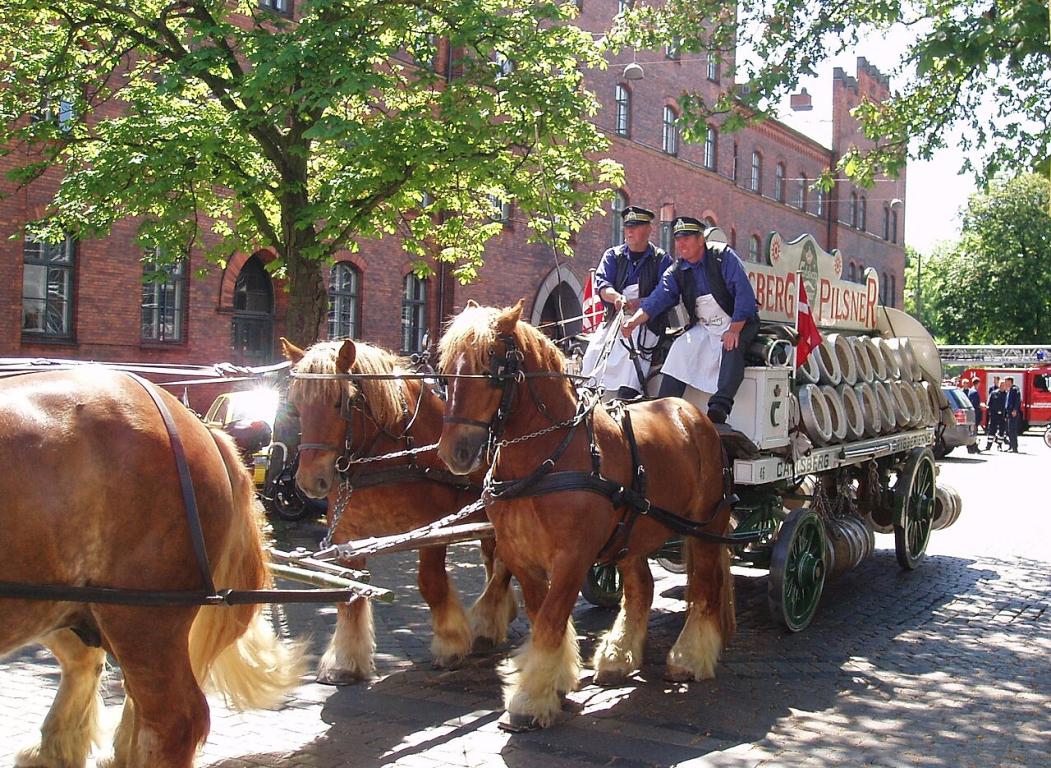 Les chevaux du Jutland comme chevaux de trait à Copenhague - Photo : EPO - Eget arbejde