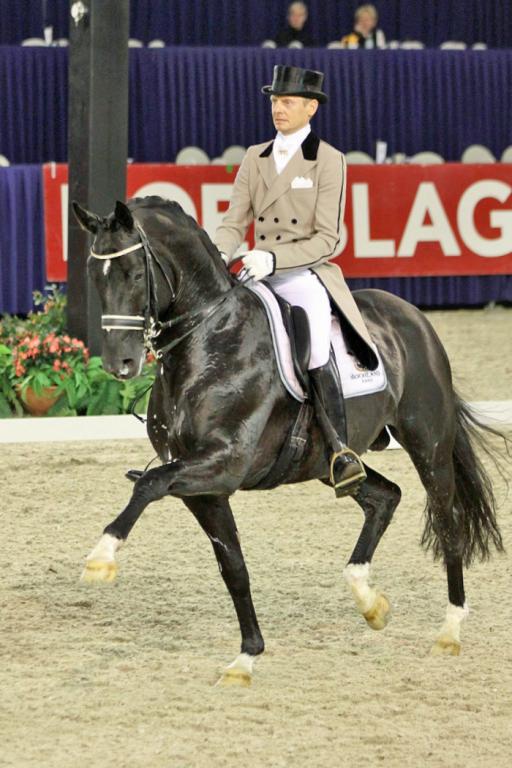 Le KWPN Totilas, ancien détenteur du record du monde de dressage et premier cheval à avoir dépassé la note de 90 %. - Roland Hitze — Wikiportret 