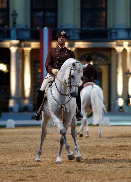 L'étalon lipizzan Maestoso Basowizza monté par Andreas Hausberger, en démonstration de dressage au château de Schönbrunn à Vienne. - Machoxx 