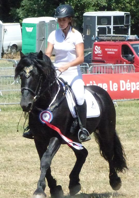 Atchoum du Marlet, champion de la race de Mérens lors du championnat national de 2019 et de 2022, monté par Colleen Gouin. - Photo :  Tsaag Valren 