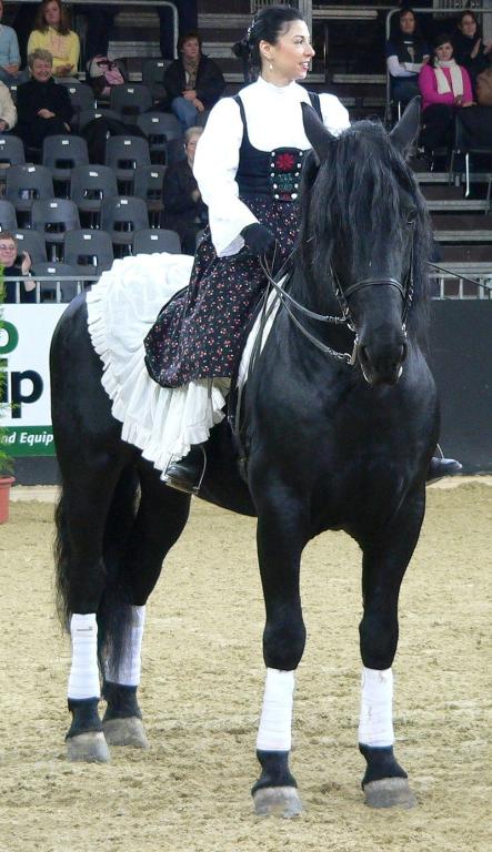 Murgese présenté au salon Equitana en 2005. - CC BY-SA 3.0 - BS Thurner Hof 