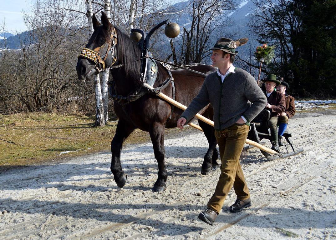 Noriker en attelage traditionnel à Zell am See. - Wald1siedel 