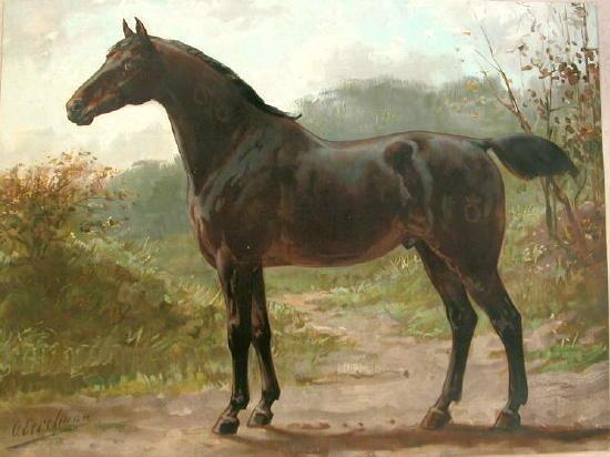Lithographie de 1898 montrant un oldenbourg de l'ancien type carrossier. - Otto Eerelman — Paardenrassen Kunstalbum