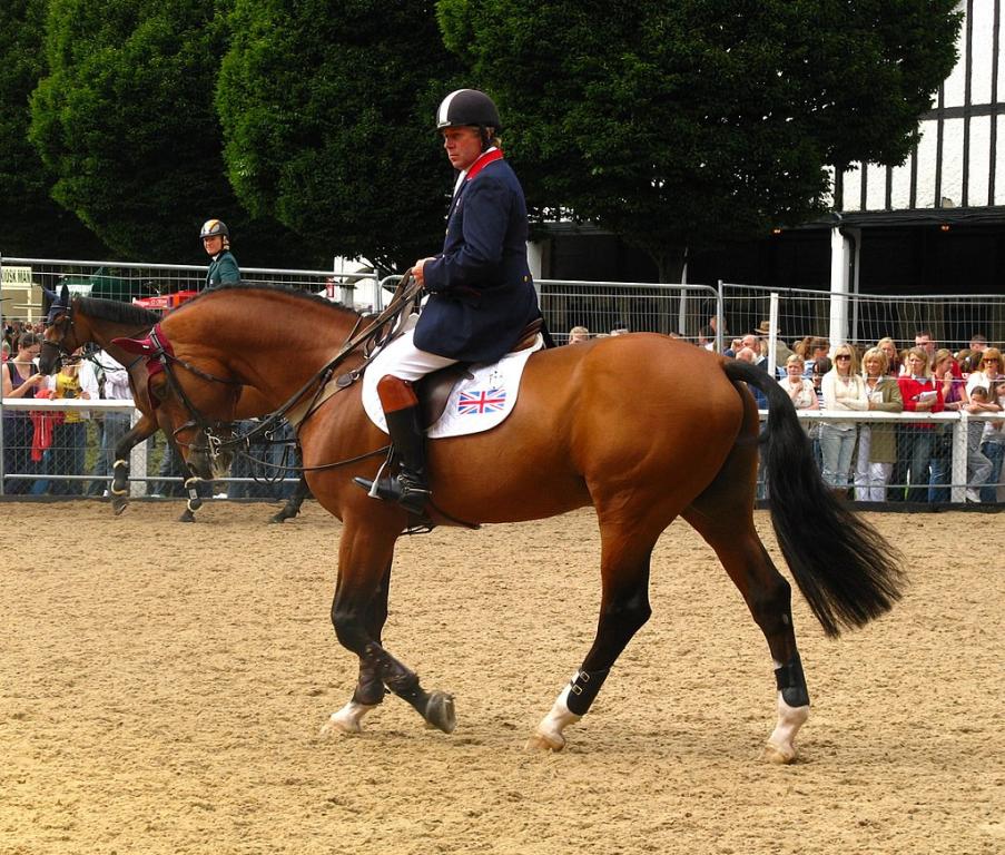 Le cavalier britannique Nick Skelton et Arko III, cheval de saut d'obstacles de race oldenbourg. - Culnacreann — Travail personnel