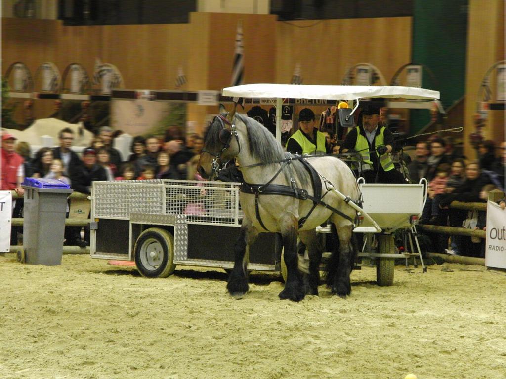 Démonstration d'attelage de travail avec un Poitevin mulassier au Salon international de l'agriculture de 2013. - CC BY-SA 4.0 - Eponimm