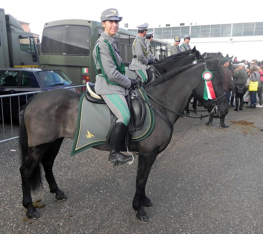 Monterufolino du Corpo Forestale dello Stato à Fieracavalli, Vérone - CC BY-SA 3.0 - Justlettersandnumbers