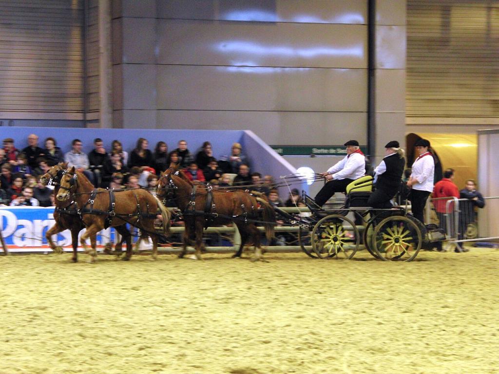 Attelage de poneys landais au salon international de l'agriculture de Paris en mars 2010. - Photo : Eponimm 