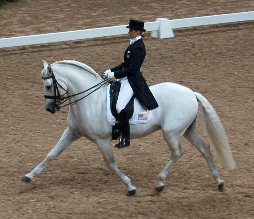 PRE lors d’une compétition internationale de dressage. - CC BY-SA 3.0 - Nick