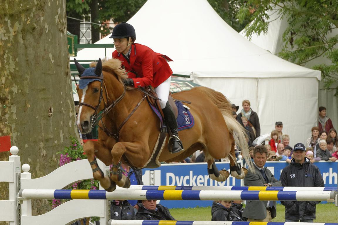 Rhénan sang chaud alezan monté en saut d'obstacles à l′Internationales Pfingstturnier Wiesbaden de 2013 - Michael Kramer