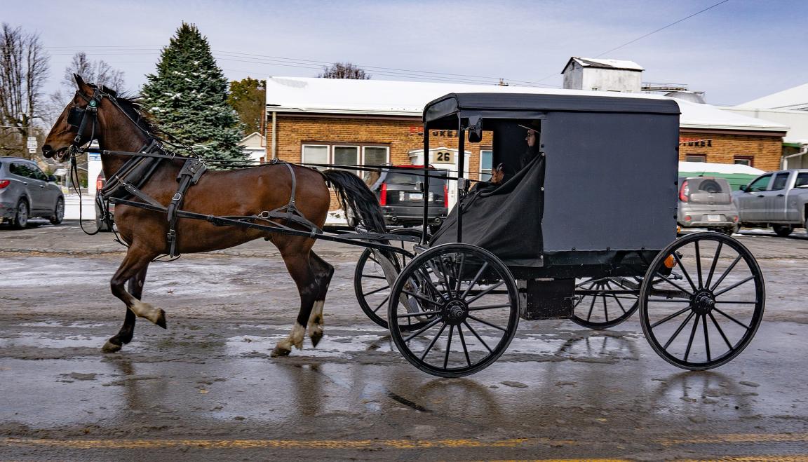 Standardbred tirant un buggy Amish - CC BY-SA 2.0 - Joseph Gage