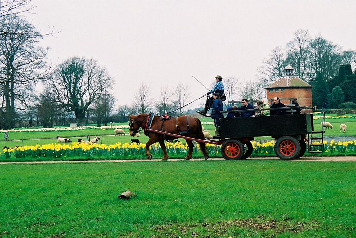 Traction hippomobile de voyageurs avec un Suffolk Punch. - CC BY 2.0 - Martin Pettitt 
