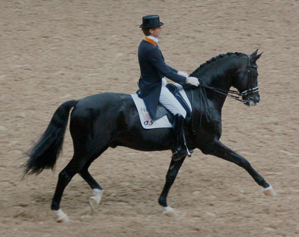 Edward Gal et Gribaldi, étalon Trakehner, lors d'une compétition de dressage. - Fotoimage