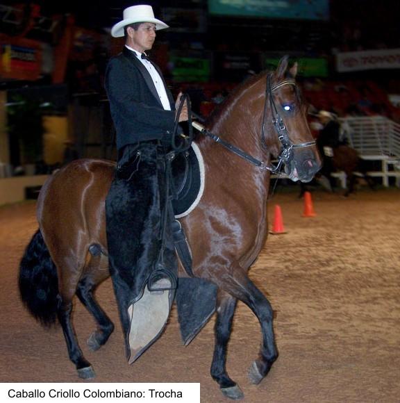 Trocha Pura Colombiano - CC BY-SA 3.0 - Arsdelicatas 