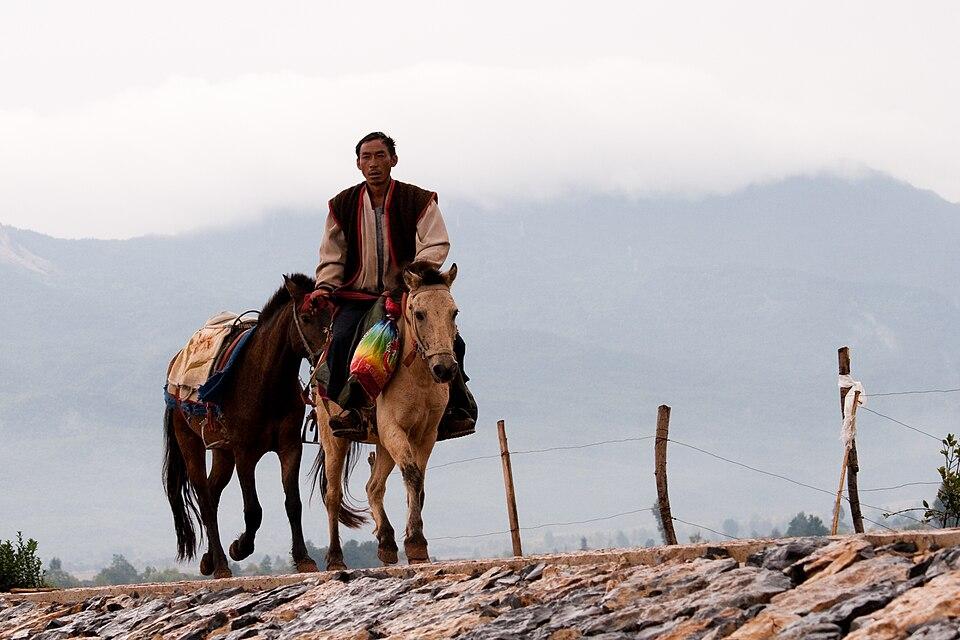 Poney du Yunnan de type Lijiang monté par un Naxi - CC BY 2.0 - Tom Thai