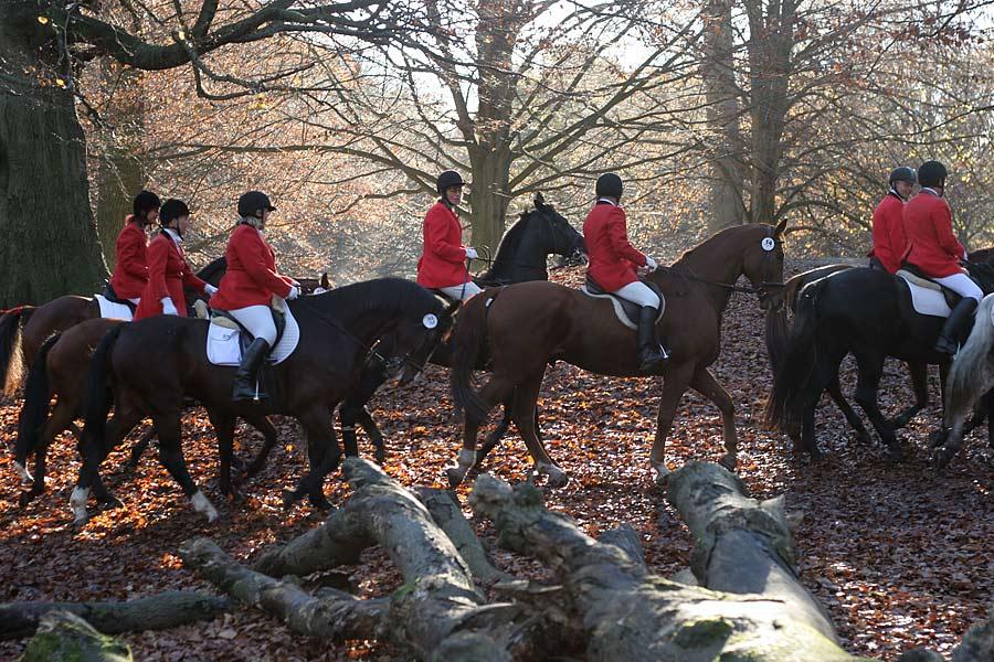 A group of field hunters in Denmark. - Photo : Henrik Jessen