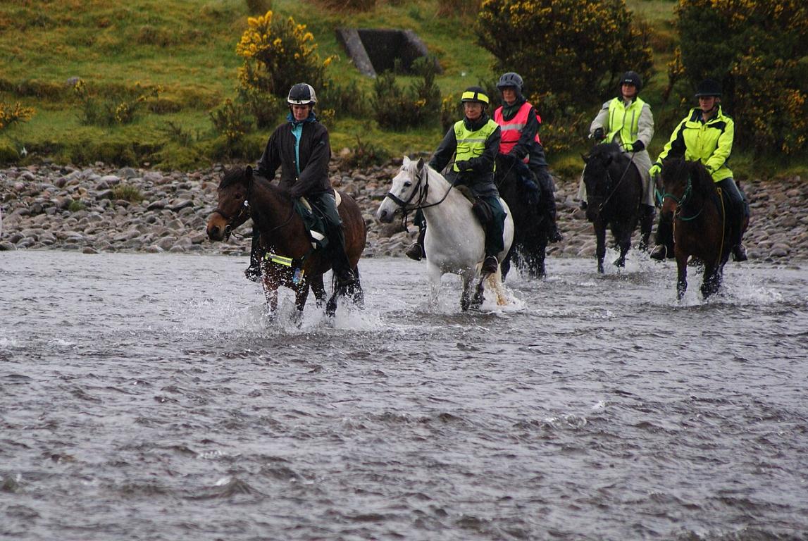A group of mounted Eriskay ponies crossing a river during a trek. - CC BY-SA 4.0 - Photo: West!islandman