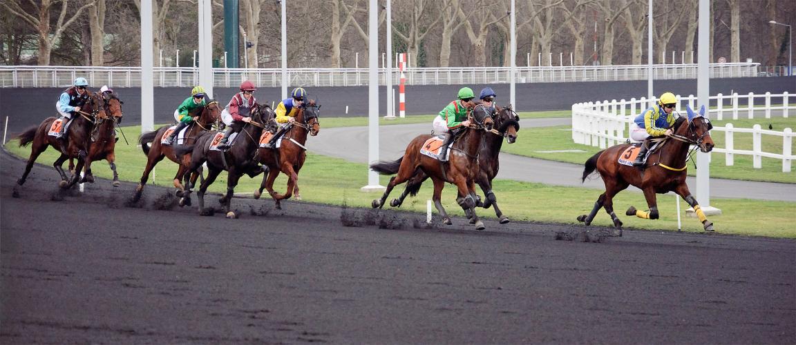 Mounted trotting race at the Vincennes racecourse. - Photo: Myrabella / Wikimedia Commons