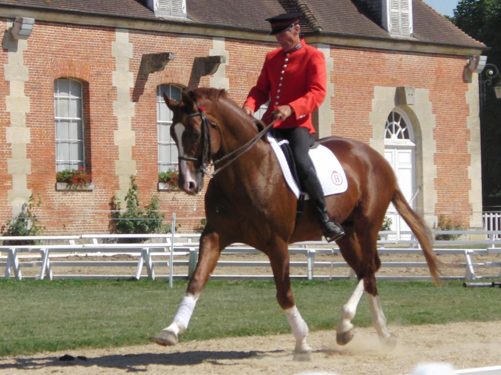  Presentation of a Hanoverian stallion at the Haras national du Pin in 2013.