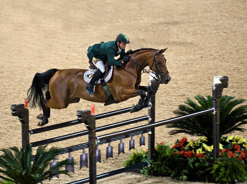 Hanoverian | Olympic Equestrian Show Jumping in Hong Kong. Lantinus (1998 bay gelding by Landkönig) and his rider Denis Lynch.
