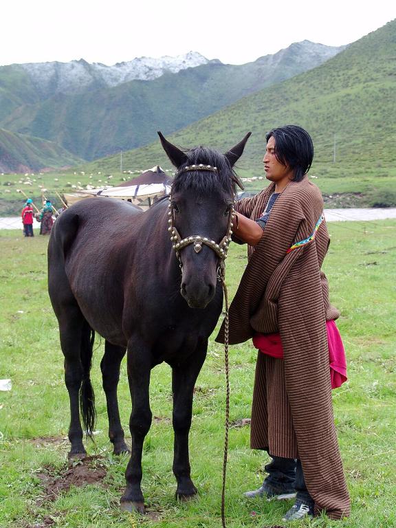 Tibetan nomad with a black Hequ horse in Gansu, on the Tibetan Plateau. - CC BY 2.0 - gill_penney