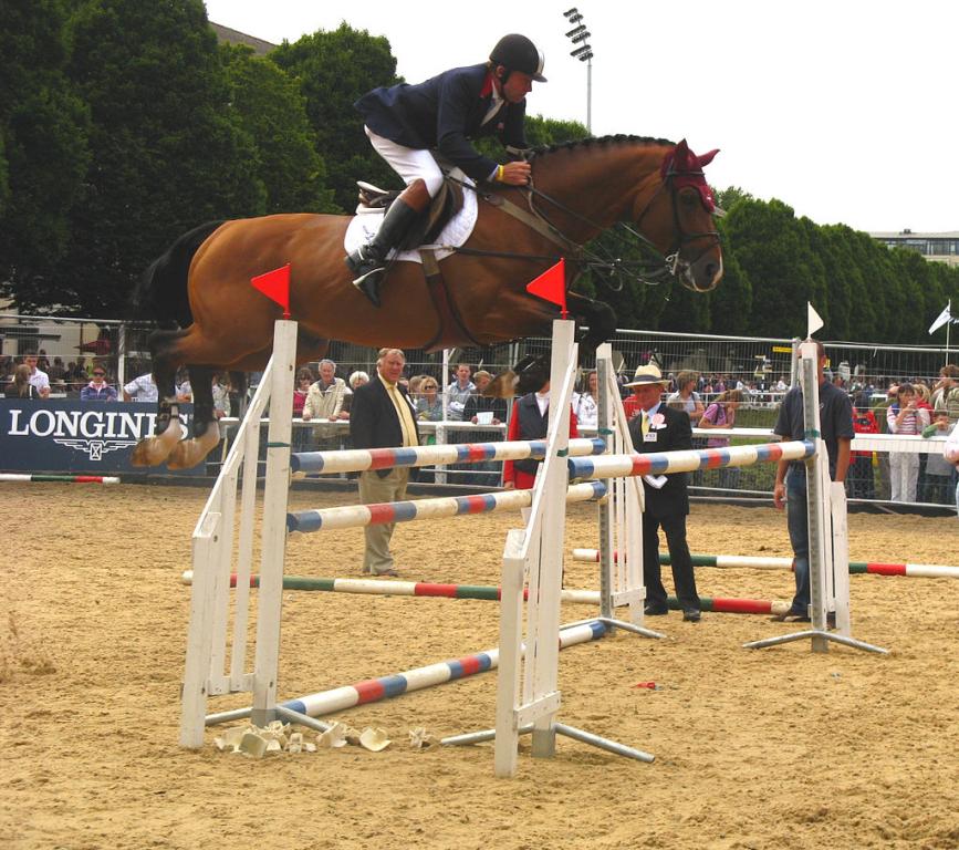  Nich Skelton and Oldenburger Arko III at the 2008 Dublin International 5 Star Show Jumping Competition. -Culnacreann — Own work