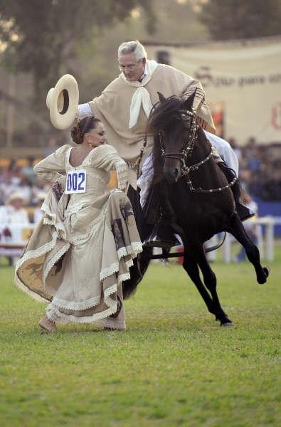 Peruvian Paso on display at the national breed show in Lima. - Public domain - Pedrazjo
