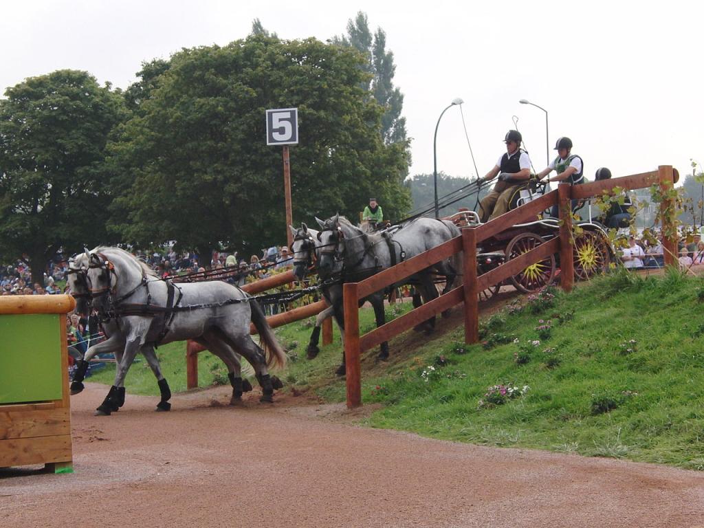 Spanish driver José Barranco Reyes and his PRE at the 2014 World Equestrian Games. - CC BY-SA 4.0 - Eponimm