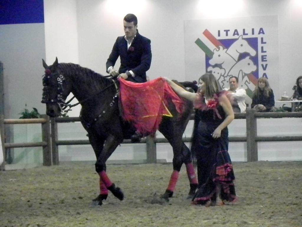 Salernitano during the 2014 Fieracavalli. - CC BY-SA 3.0 - Justlettersandnumbers