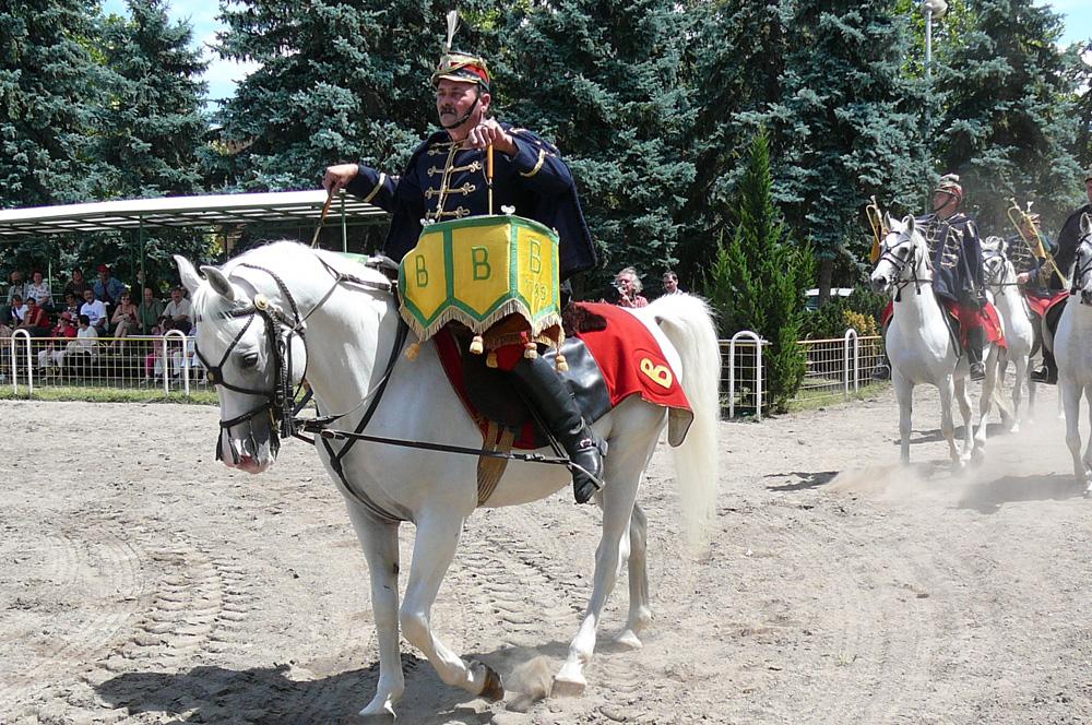  Traditional presentation of Shagya horses at the Bábolna stud farm in Hungary. - CC BY-SA 3.0 - Photo: Véronique Mestre Gibaud