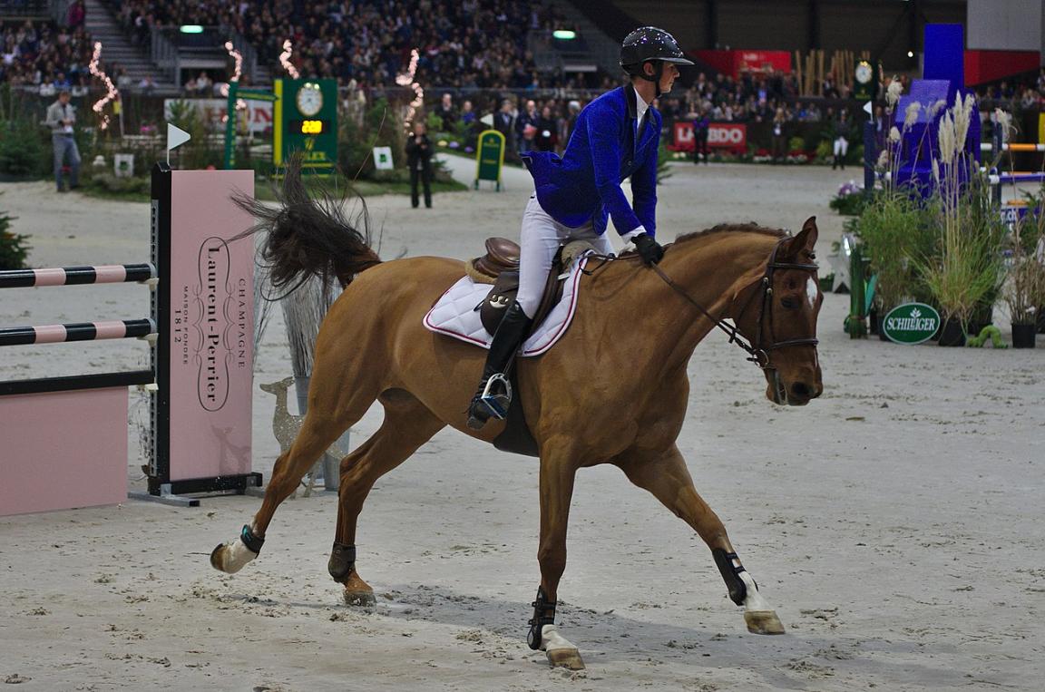  Swiss Warmblood horse, Pénélope Leprevost and Cayman Athletic CH - CC BY-SA 3.0 - Clément Bucco-Lechat