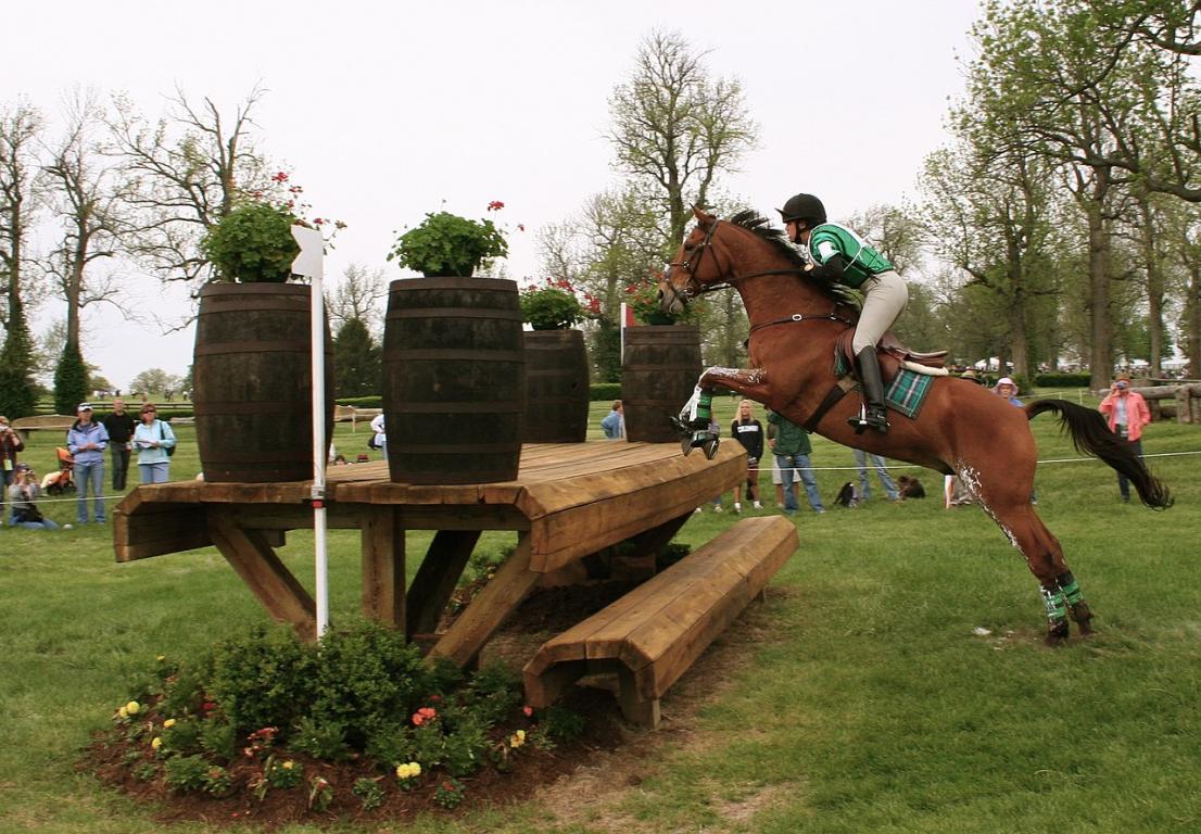 A Thoroughbred in an eventing competition. Photo by Ronald C. Yochum, Jr. ronjamin