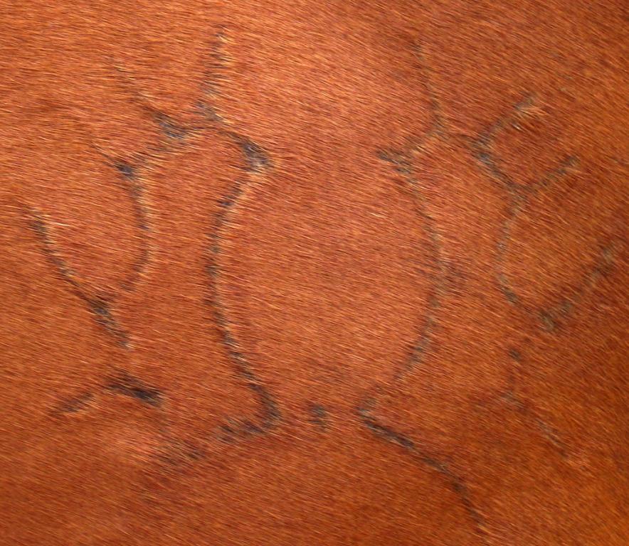 Mark of Trakehner -CC BY-SA 2.5 - Alexander Kastler